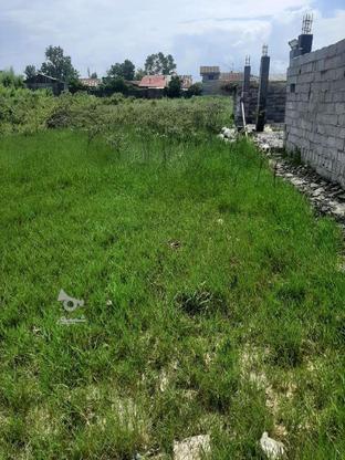 زمین 296 متر روستایی مسکونی در گروه خرید و فروش املاک در گیلان در شیپور-عکس1