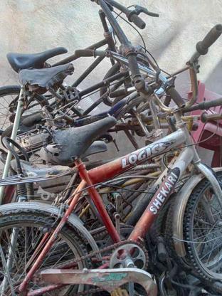 فروش فوری دوچرخه در گروه خرید و فروش ورزش فرهنگ فراغت در فارس در شیپور-عکس1