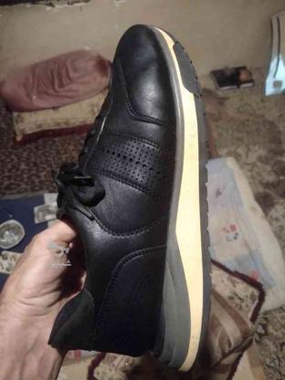 کفش چرمی اسپرت مادو mado شماره 41 کد 1094 در گروه خرید و فروش لوازم شخصی در گلستان در شیپور-عکس1