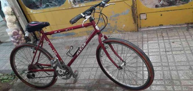 دوچرخه26 دماوند در گروه خرید و فروش ورزش فرهنگ فراغت در البرز در شیپور-عکس1