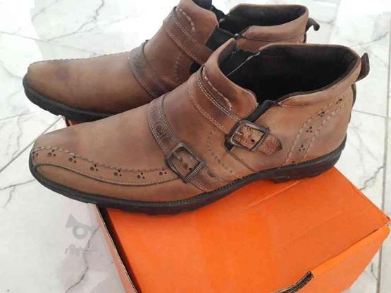 کفش چرمی درجه یک در گروه خرید و فروش لوازم شخصی در مازندران در شیپور-عکس1