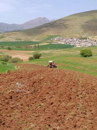 زمین کشاورزی روستای لاین در گروه خرید و فروش املاک در کردستان در شیپور-عکس1