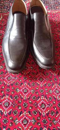 کفش رنگ مشکی به علت نخوردن سایزتوافقی در گروه خرید و فروش لوازم شخصی در سمنان در شیپور-عکس1