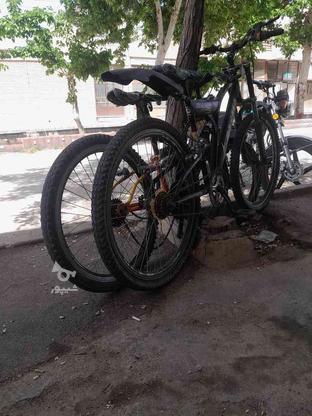 دو عدد دوچرخه در گروه خرید و فروش ورزش فرهنگ فراغت در سمنان در شیپور-عکس1