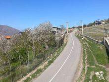 زمین 100 متری ییلاقی نمارستاق در شیپور