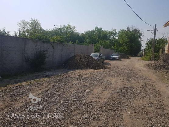 فروش زمین مسکونی 250 متر در جاده چمخاله در گروه خرید و فروش املاک در گیلان در شیپور-عکس1