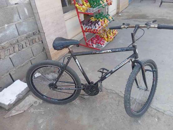 فروش یک عدددوچرخه زیبرا در گروه خرید و فروش ورزش فرهنگ فراغت در گلستان در شیپور-عکس1