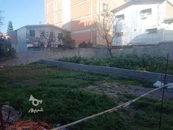 فروش زمین داخل بافت270متر در گروه خرید و فروش املاک در مازندران در شیپور-عکس1