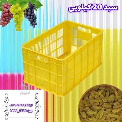 سبد20کیلویی انگور،کشمش در گروه خرید و فروش صنعتی، اداری و تجاری در قزوین در شیپور-عکس1