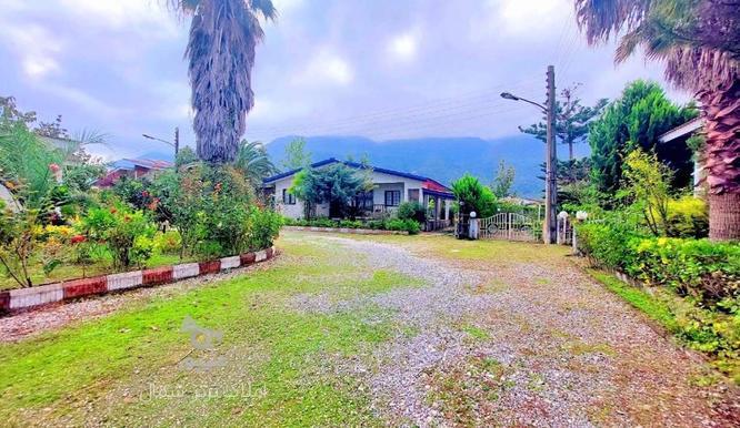 فروش زمین مسکونی 250 متر در نخ شمال در گروه خرید و فروش املاک در مازندران در شیپور-عکس1