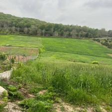 زمین 220 متری سانخیل