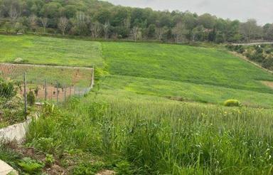 زمین 220 متری سانخیل