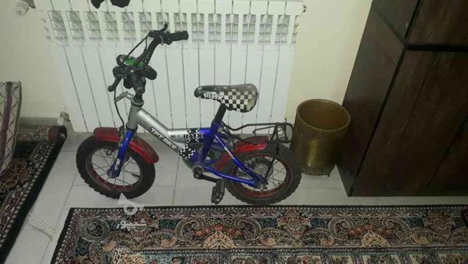 دوچرخه کودک در گروه خرید و فروش ورزش فرهنگ فراغت در تهران در شیپور-عکس1