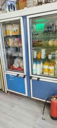 یخچال ایستاده مغازه دو در در گروه خرید و فروش صنعتی، اداری و تجاری در قزوین در شیپور-عکس1
