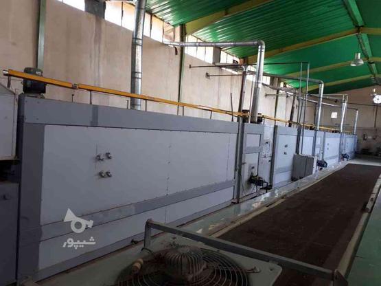 خط تولید بیسکویت تونلی عرض 80سانت طرح انگلیسی در گروه خرید و فروش صنعتی، اداری و تجاری در تهران در شیپور-عکس1