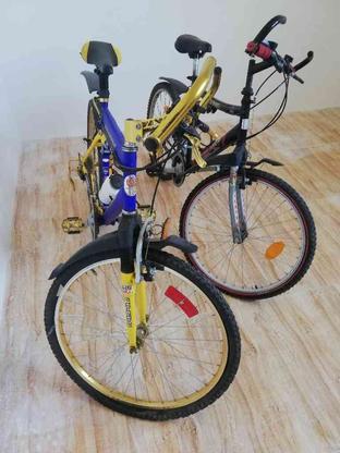 دودستگاه دوچرخه 24و26 در گروه خرید و فروش ورزش فرهنگ فراغت در همدان در شیپور-عکس1