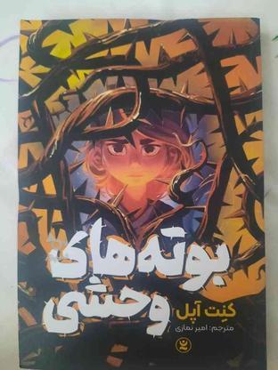 کتاب بوته های وحشی در گروه خرید و فروش ورزش فرهنگ فراغت در اصفهان در شیپور-عکس1