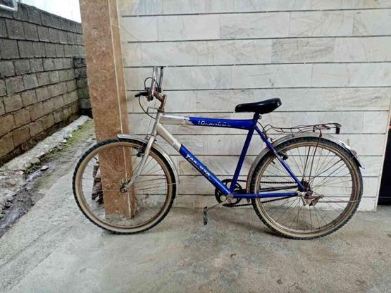 دوچرخه جدید در گروه خرید و فروش ورزش فرهنگ فراغت در مازندران در شیپور-عکس1
