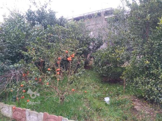 فروش زمین مسکونی سند دار در گروه خرید و فروش املاک در مازندران در شیپور-عکس1