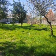 فروش زمین مسکونی 380 متر در مرکز شهر