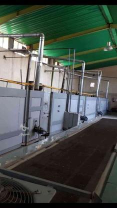 دو خط کامل تونلی تولید بیسکویت چهار تنی و کلوچه چهار تنی در گروه خرید و فروش خدمات و کسب و کار در تهران در شیپور-عکس1