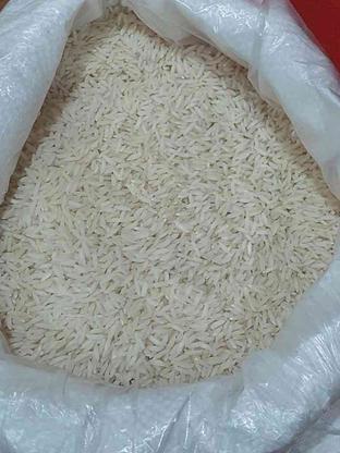 برنج طارم هاشمی درجه 1 در گروه خرید و فروش خدمات و کسب و کار در اصفهان در شیپور-عکس1