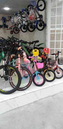 دوچرخه از سایز 12 تا سایز 26 نو آکبند در گروه خرید و فروش خدمات و کسب و کار در کرمان در شیپور-عکس1