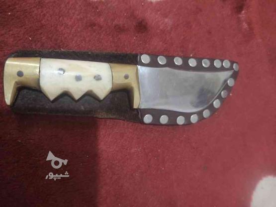 چاقو کمری اصلی در گروه خرید و فروش ورزش فرهنگ فراغت در گلستان در شیپور-عکس1