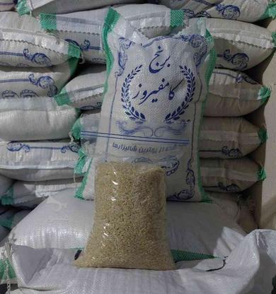 برنج و خرده برنج کامفیروزی به شرط پخت در گروه خرید و فروش خدمات و کسب و کار در فارس در شیپور-عکس1