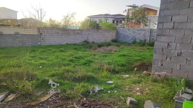 فروش زمین باغی دور دیوار شده بهنمیر عربخیل در گروه خرید و فروش املاک در مازندران در شیپور-عکس1