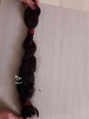 موی طبیعی،بدونه رنگ وسشوار50سانتی در گروه خرید و فروش لوازم شخصی در مازندران در شیپور-عکس1