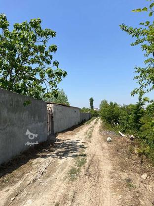 فروش زمین باغ 85 متر در گنج افروز بابل در گروه خرید و فروش املاک در مازندران در شیپور-عکس1