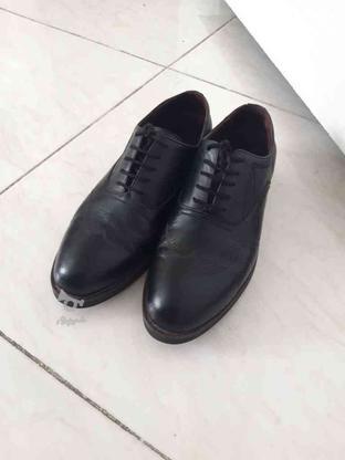 کفش مجلسی مردانه در حد بسیار نو تمیز سایز 40 در گروه خرید و فروش لوازم شخصی در تهران در شیپور-عکس1
