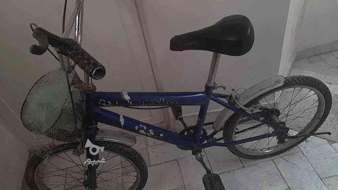 دوچرخه مارک در گروه خرید و فروش ورزش فرهنگ فراغت در خراسان رضوی در شیپور-عکس1