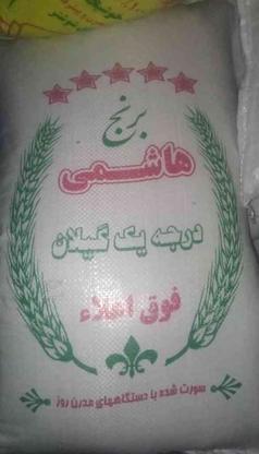 فروش برنج هاشمی آستانه اشرفیه گیلان در گروه خرید و فروش خدمات و کسب و کار در تهران در شیپور-عکس1