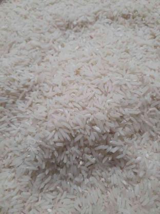 برنج طارم محلی در گروه خرید و فروش خدمات و کسب و کار در مازندران در شیپور-عکس1