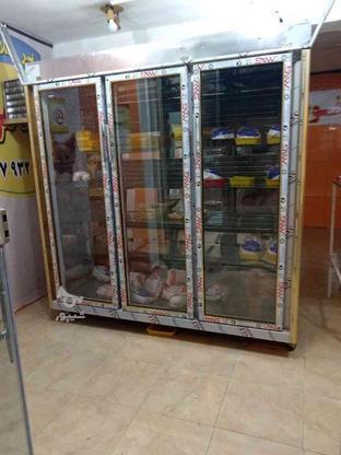 فروش یخچال برامرغ فروشی وسوپری در گروه خرید و فروش صنعتی، اداری و تجاری در فارس در شیپور-عکس1