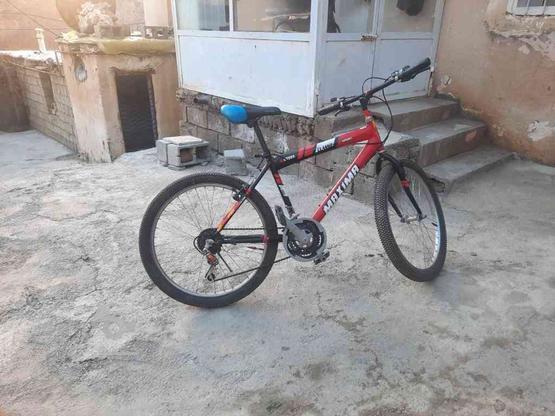 دوچرخه سالم وسریحال در گروه خرید و فروش ورزش فرهنگ فراغت در کردستان در شیپور-عکس1