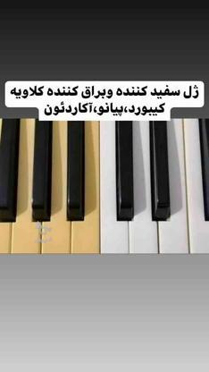 ژل سفید کننده ارگ و پیانو صددرصد تضمینی در گروه خرید و فروش ورزش فرهنگ فراغت در تهران در شیپور-عکس1