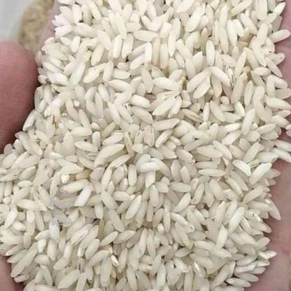 برنج عنبربو 10 کیلویی ارسال رایگان در گروه خرید و فروش خدمات و کسب و کار در تهران در شیپور-عکس1