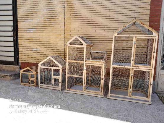 قفس چوبی عروس هلندی مرغ عشق و قناری در گروه خرید و فروش ورزش فرهنگ فراغت در خراسان جنوبی در شیپور-عکس1