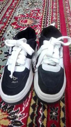 کفش سالم سایز 38 در گروه خرید و فروش لوازم شخصی در خراسان رضوی در شیپور-عکس1
