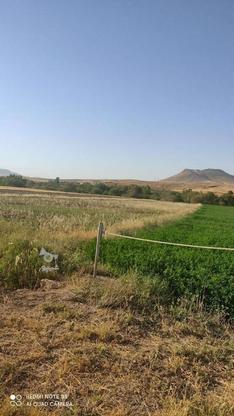 زمین کشاورزی جاده سقز بوکان در گروه خرید و فروش املاک در آذربایجان غربی در شیپور-عکس1