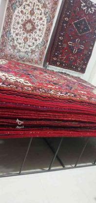 فرش فروشی اسکویی( دستباف) در گروه خرید و فروش خدمات و کسب و کار در آذربایجان شرقی در شیپور-عکس1