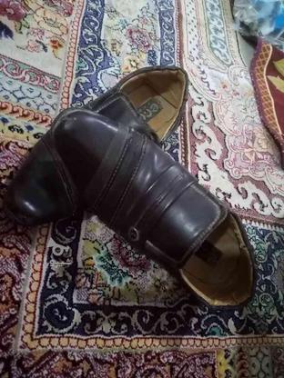 کفش سایز 33 در گروه خرید و فروش لوازم شخصی در سیستان و بلوچستان در شیپور-عکس1