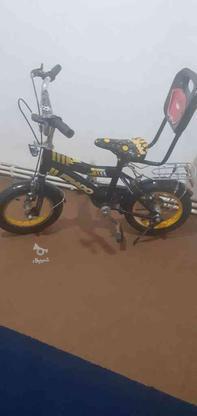 دوچرخه 12 سالم در گروه خرید و فروش ورزش فرهنگ فراغت در کرمانشاه در شیپور-عکس1