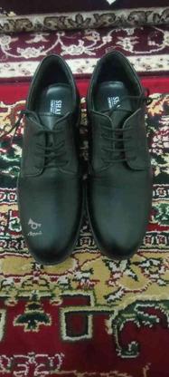 کفش رسمی مردانه نو با کفی پی یو و طبی در گروه خرید و فروش لوازم شخصی در قم در شیپور-عکس1