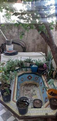 حوض پاشوردار در گروه خرید و فروش لوازم خانگی در مازندران در شیپور-عکس1
