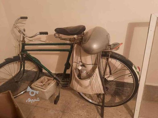 دوچرخه سایز 28 سند دار چینی در گروه خرید و فروش ورزش فرهنگ فراغت در اصفهان در شیپور-عکس1