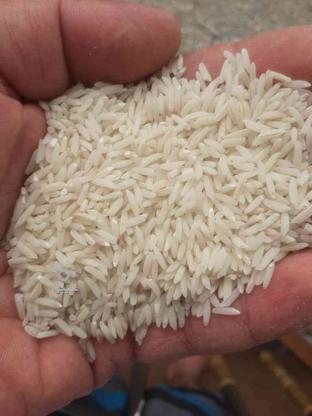 برنج طارم هاشمی(یک تن) در گروه خرید و فروش خدمات و کسب و کار در مازندران در شیپور-عکس1